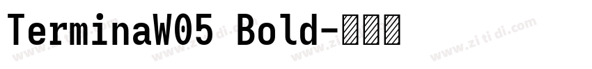 TerminaW05 Bold字体转换